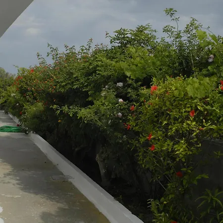 Apartamento Ipokampos *